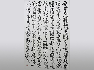 向老师 草书创作