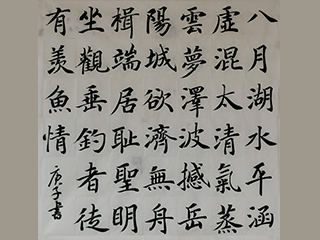 向老师 楷书创作示范