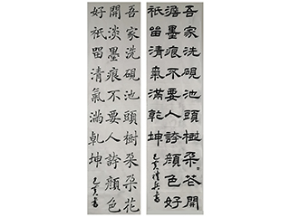 向老师 楷书隶书创作示范