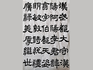 向老师 隶书临摹