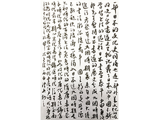 向老师 手扎记录