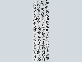 向老师 草书临摹 书谱