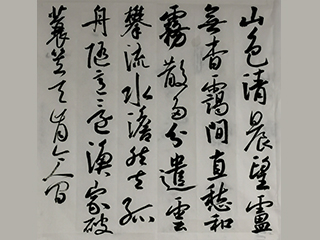 向老师 行草书创作示范