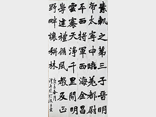 向老师 张猛龙碑 临摹 楷书